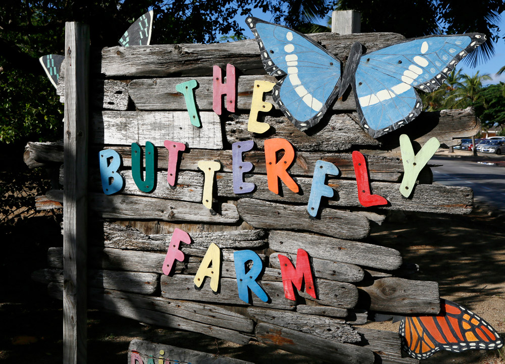 The Butterfly Farm op Aruba.