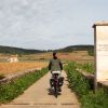 Fietsvakantie: heerlijk fietsen in Frankrijk