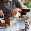 Niolo, Corsica: de hongerige kat