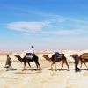 Egypte: Wandelen in de woestijn