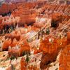Bryce Canyon, highlight van een rondreis Amerika