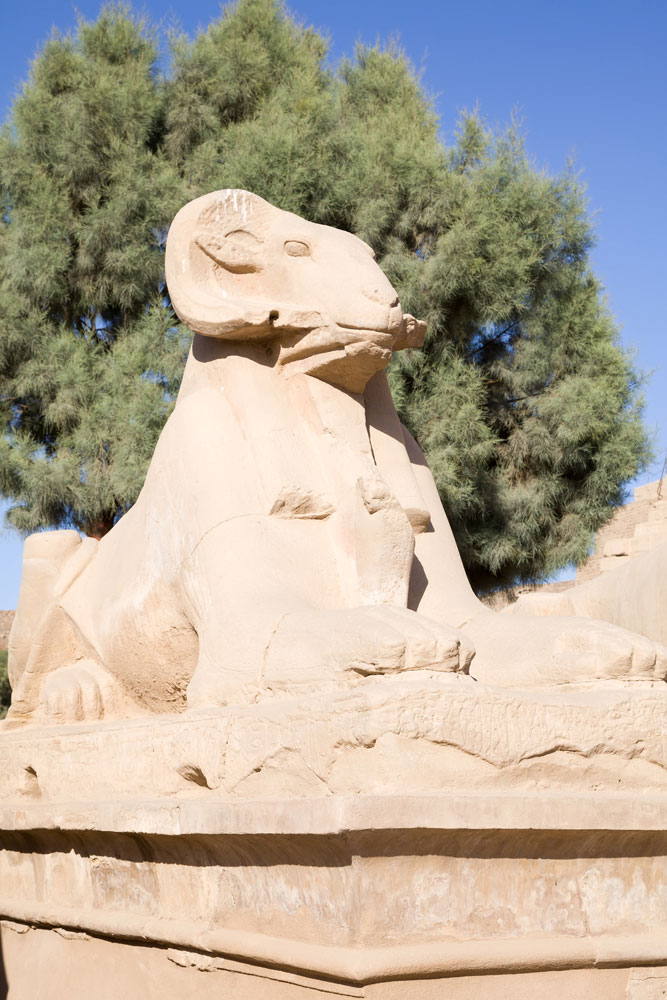 Detail van de Karnak tempel, Egypte