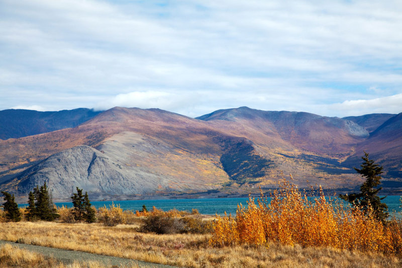 Kluane National Park in Yukon, Canada, camper, camperreis, rondreis, vakantie
