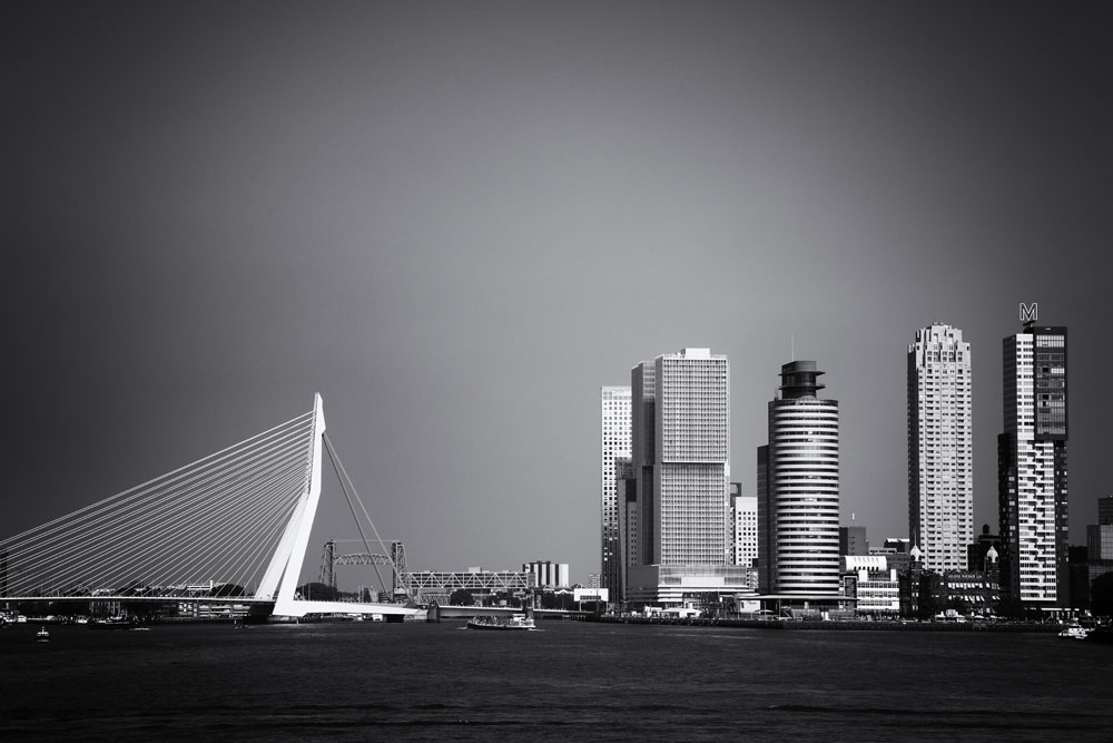 vegetarisch Weggegooid materiaal Fotomoment: skyline van Rotterdam - Kim van Dam