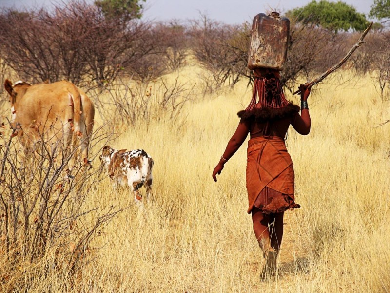 Himba vrouw met jerrycan water op haar hoofd,  Namibie