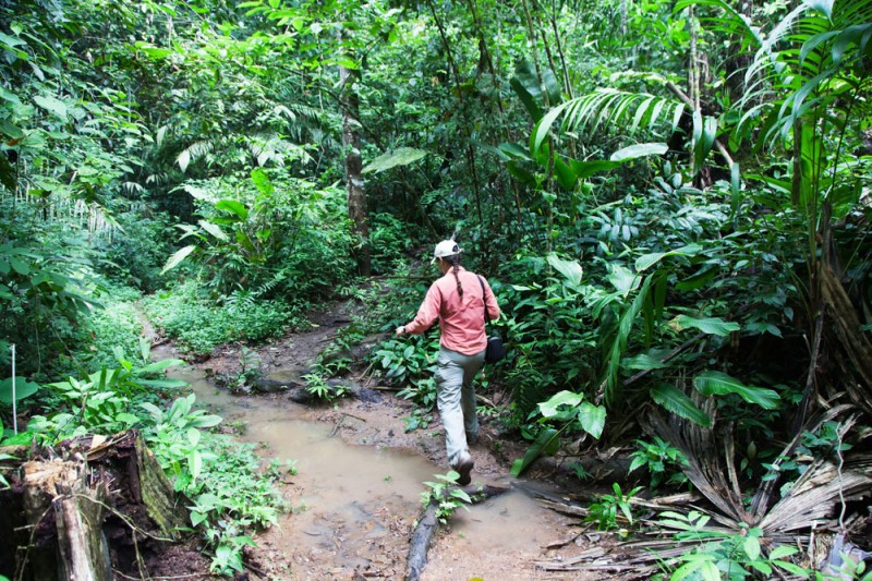 De grond is een modderrivier geworden, jungle Embera indianen