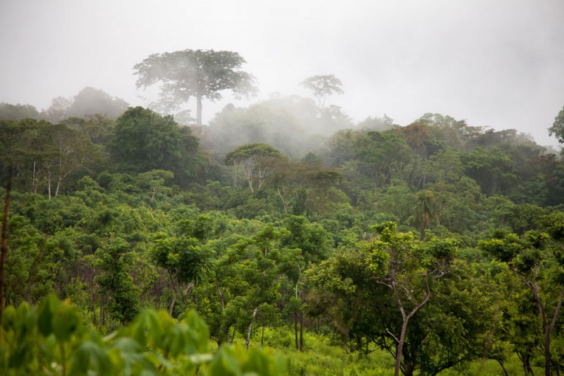 Embera Panama: in de jungle op zoek naar de harpij arend