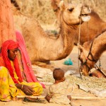 Kamelenfestival in Pushkar, Rajasthan, India