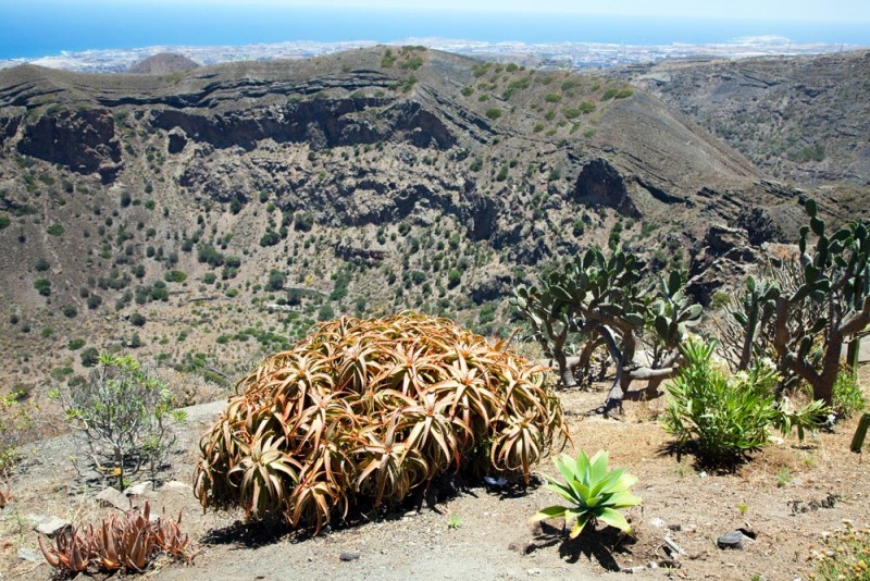 bezienswaardigheden Gran Canaria, Uitzicht over de vulkaankrater op Gran Canaria