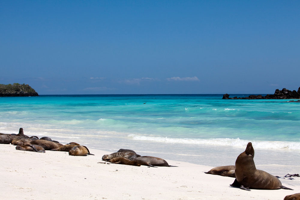 Top 5: de mooiste Galápagos-eilanden