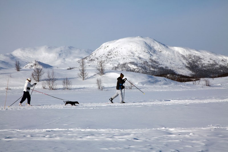 Hond uitlaten op langlauf-ski's in het Hemsedal, Noorwegen