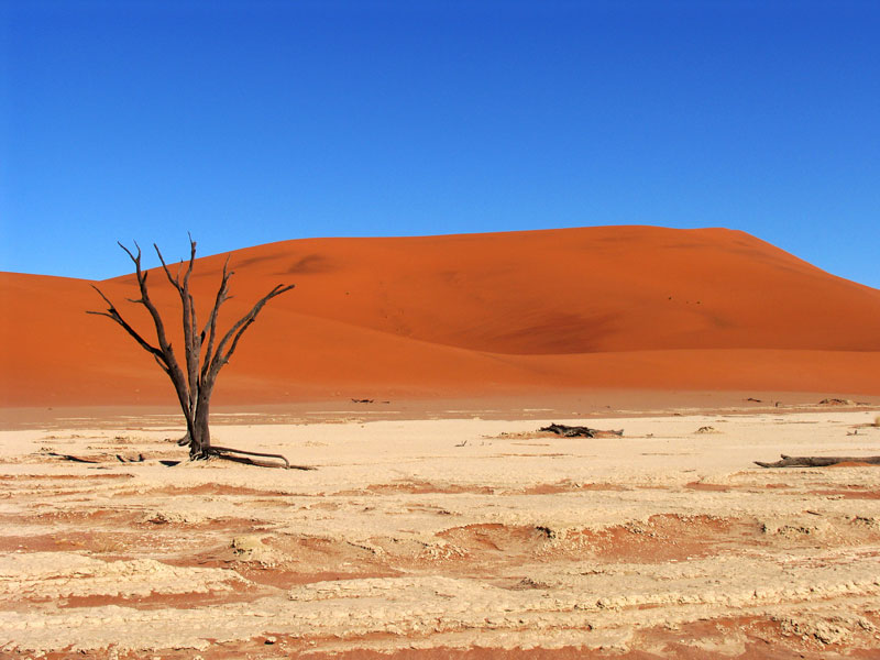 Een van de bekendste bezienswaardigheden in Namibie: Deadvlei