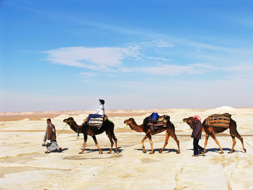 Wandelen in de woestijn, de Westelijke Sahara in Egypte