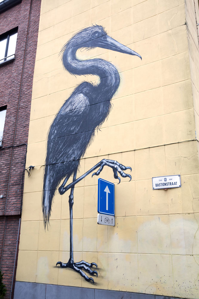 Stedentrip Gent, Belgie: de Concrete Canvas Tour langs de mooiste street art. Werk van ROA.
