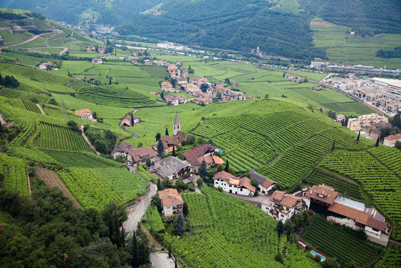 Fietsen in Zuid-Tirol, Italie: de wijngaarden rond Bolzano 