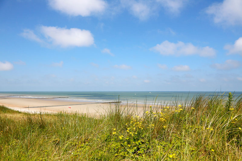 Ideaal voor een strandvakantie: Ongerepte duinen en strand bij Bredene, Belgie