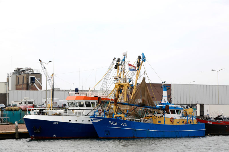 Vissersboten in de haven van Scheveningen