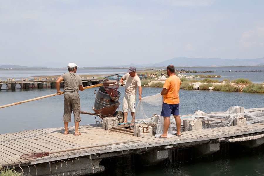 De vissers van de cooperatie halen hun visvallen leeg.