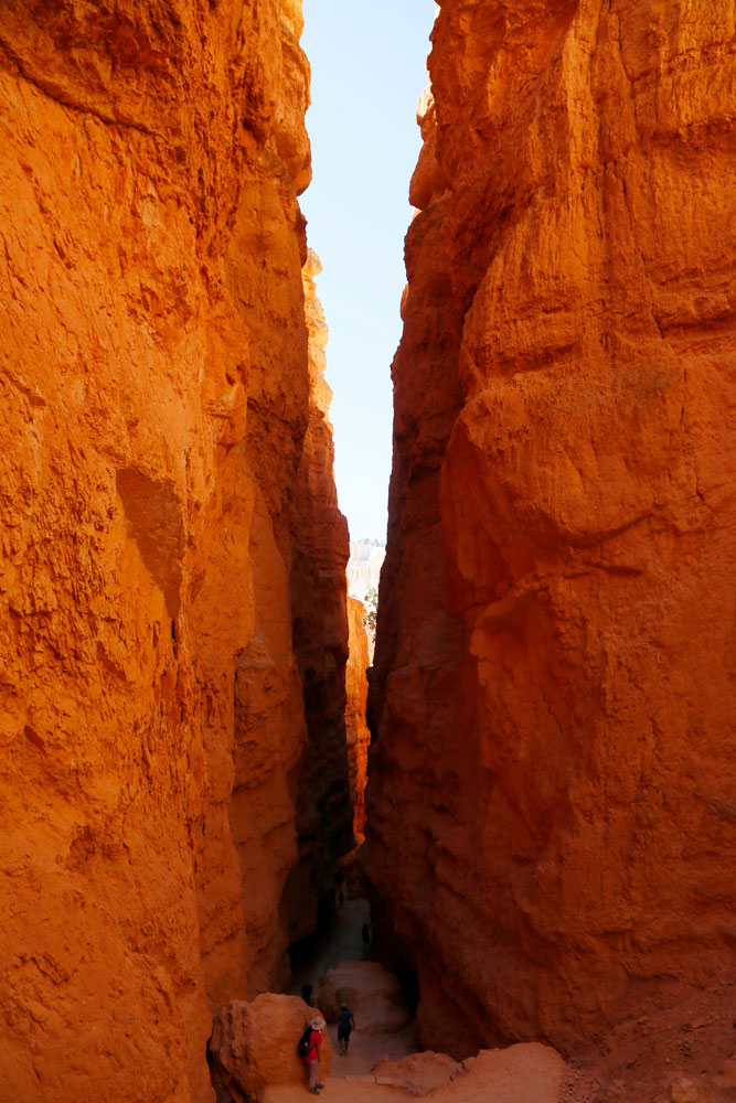 Rondreis West-Amerika: wandelen in Wall Street in Bryce Canyon 