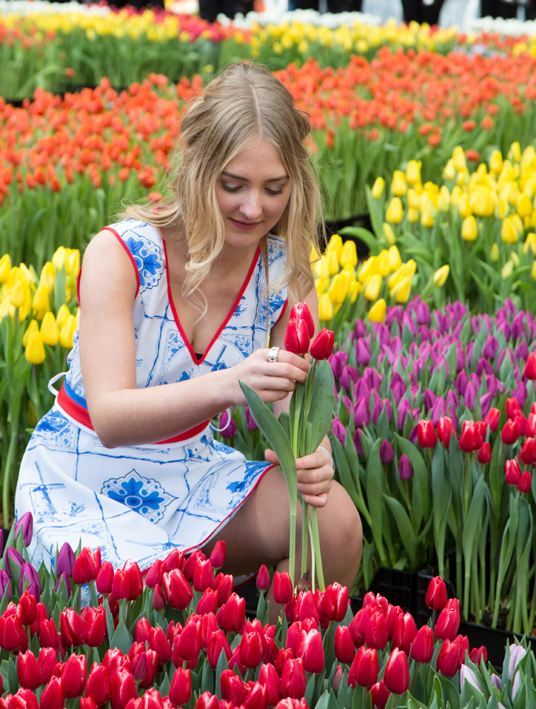 Nationale Tulpendag, tulpen op de Dam in de tulpen-pluktuin in Amsterdam