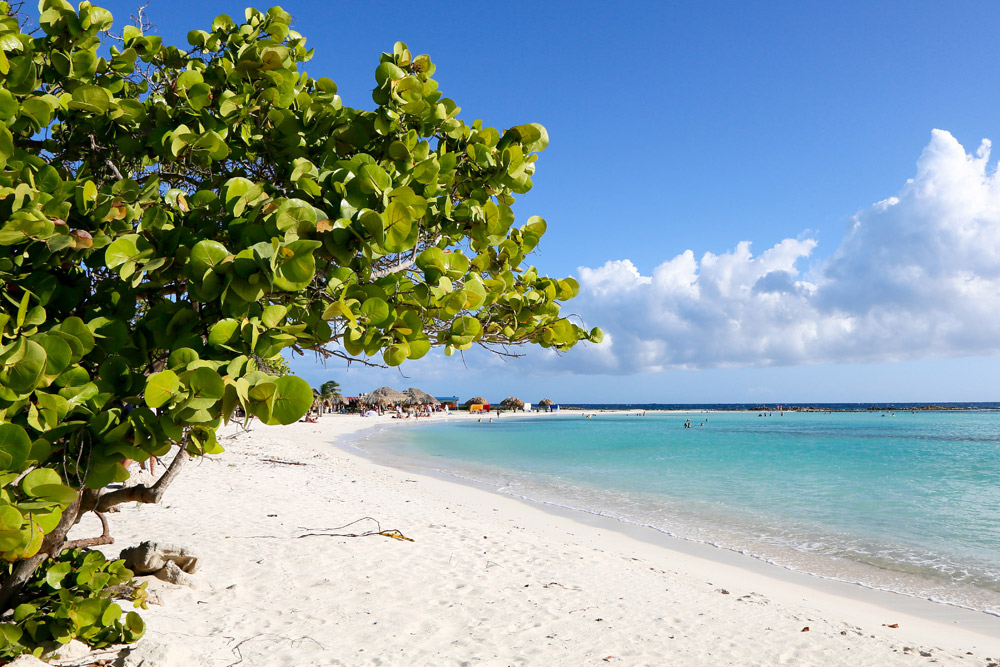 Mooiste stranden Aruba: Baby Beach is ideaal voor gezinnen.