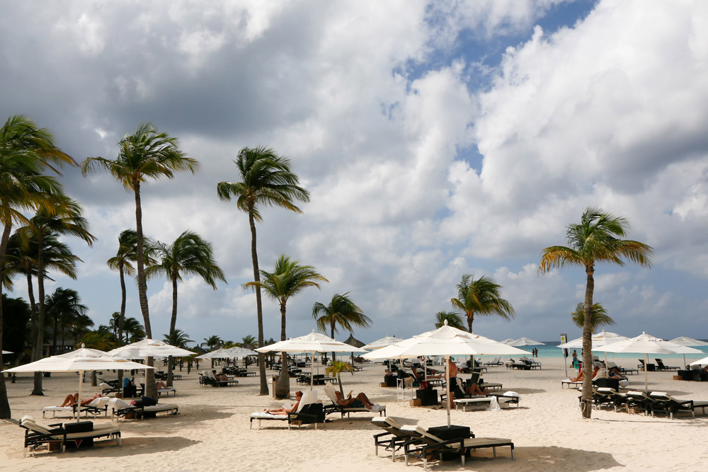 Strand top 5 Aruba: onder de palmbomen op Manchebo Beach
