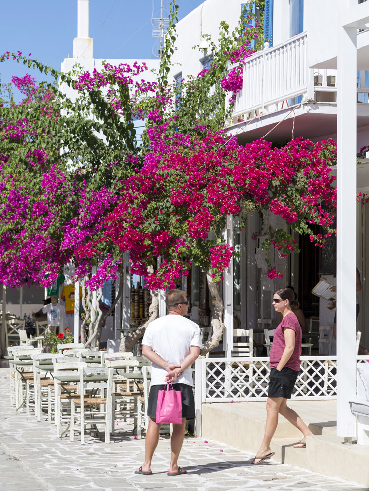 Fleurige bougainville in de straten van Antiparos, Cycladen, eilandhoppen Griekenland