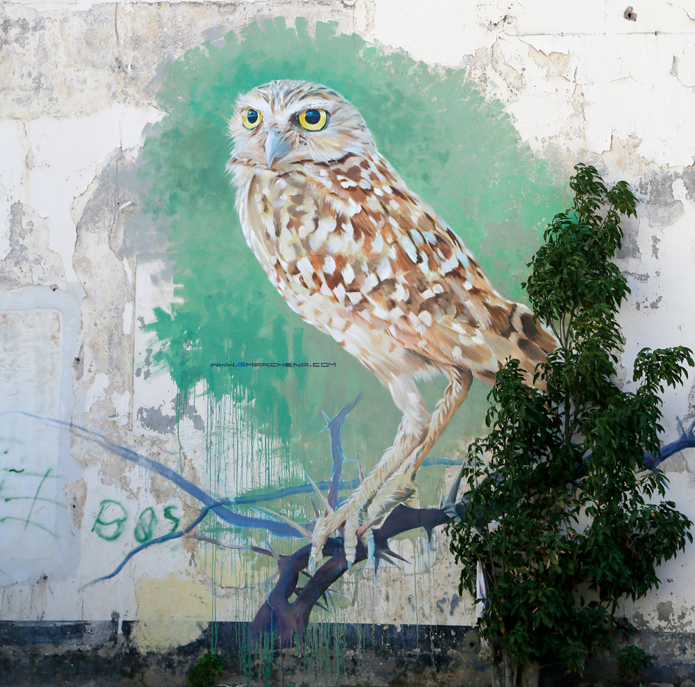 Graffiti in Oranjestad, Aruba