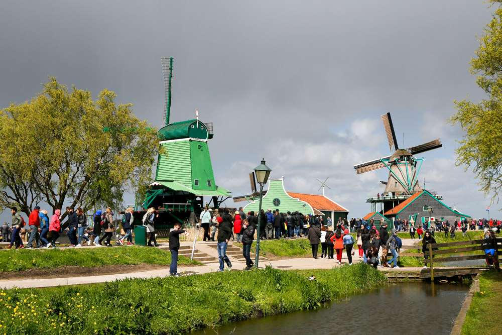 Jaarlijks bezoeken 1.6 miljoen mensen de molens op de Zaanse Schans Toeristische trekpleister De Zaanse Schans in Zaandam. Op de Kalverringdijk staan diverse nog werkende molens.,
