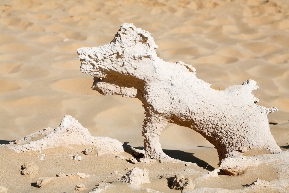 Porto Santo, Portugal, Sculpturen van zandsteen: een hondje