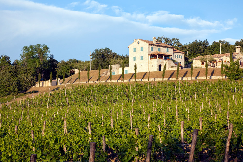 Het wijnlandgoed Kabola Kamperen in Istrie, Kroatie, go4holiday, camping