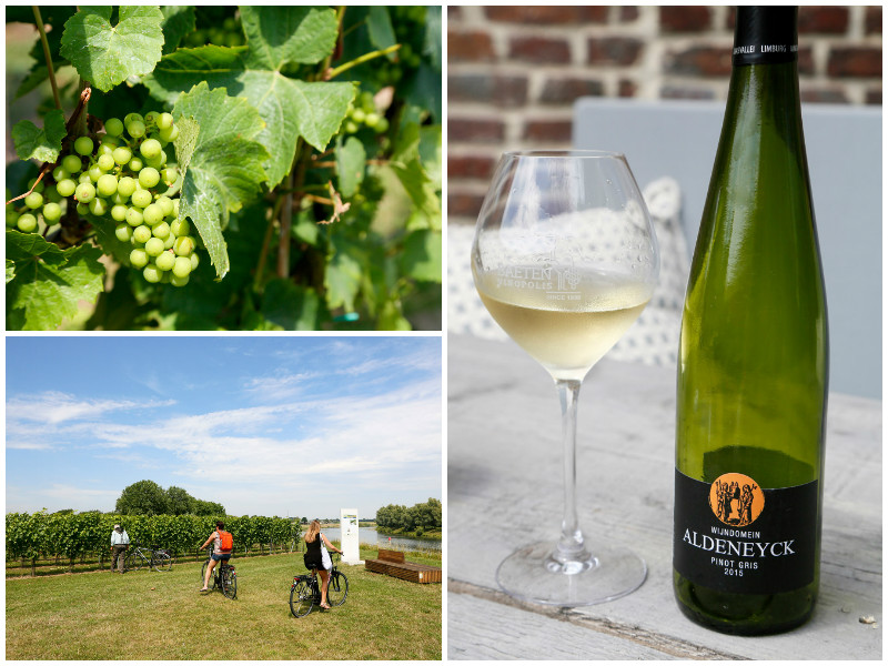 Wijn uit Belgie van de wijngaarden van Aldeneyck, RivierPark Maasvallei