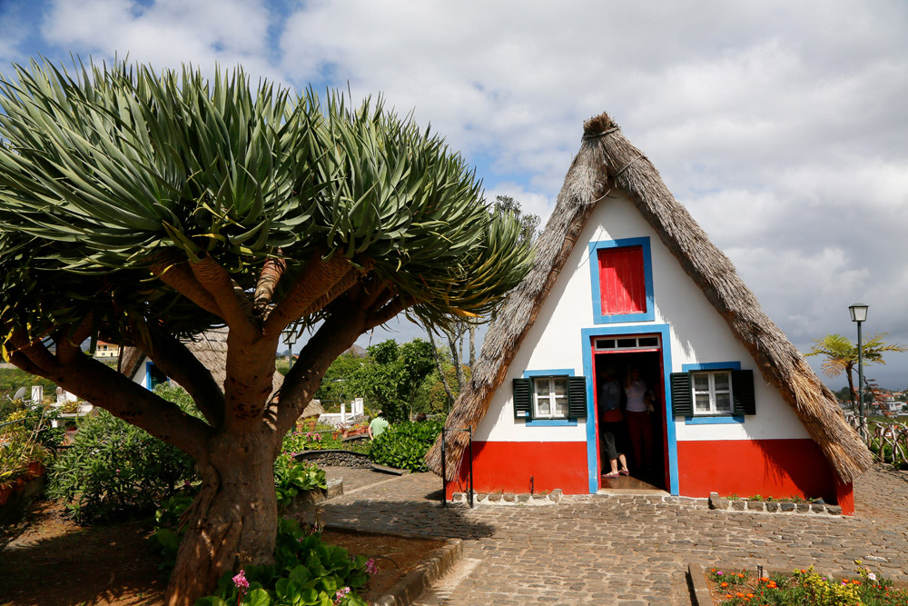 Vakantie Madeira, dwalen in de natuur