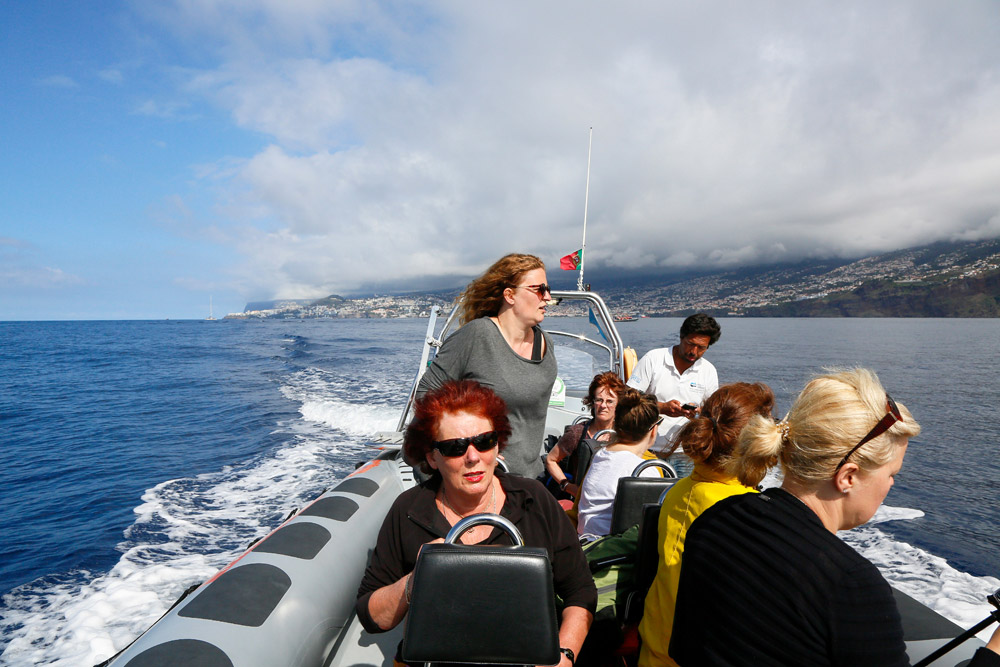 Met een zodiac op dolfijnenjacht Vakantie op bloemeneiland Madeira, Portugal