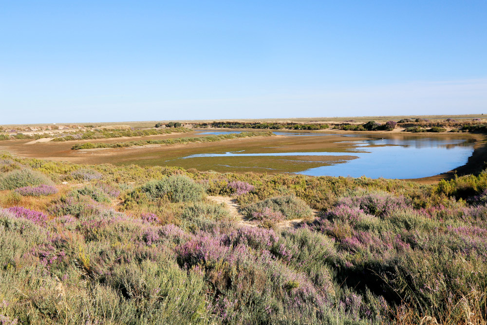 Ongeveer 60 kilometer moerasland langs de kust: fietsen maar, designhotel Algarve Portugal