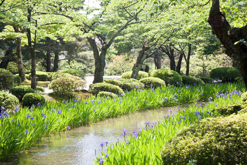Lissen langs het water in het Kenrokuen park in Kanazawa, Kanazawa, rondreis Japan