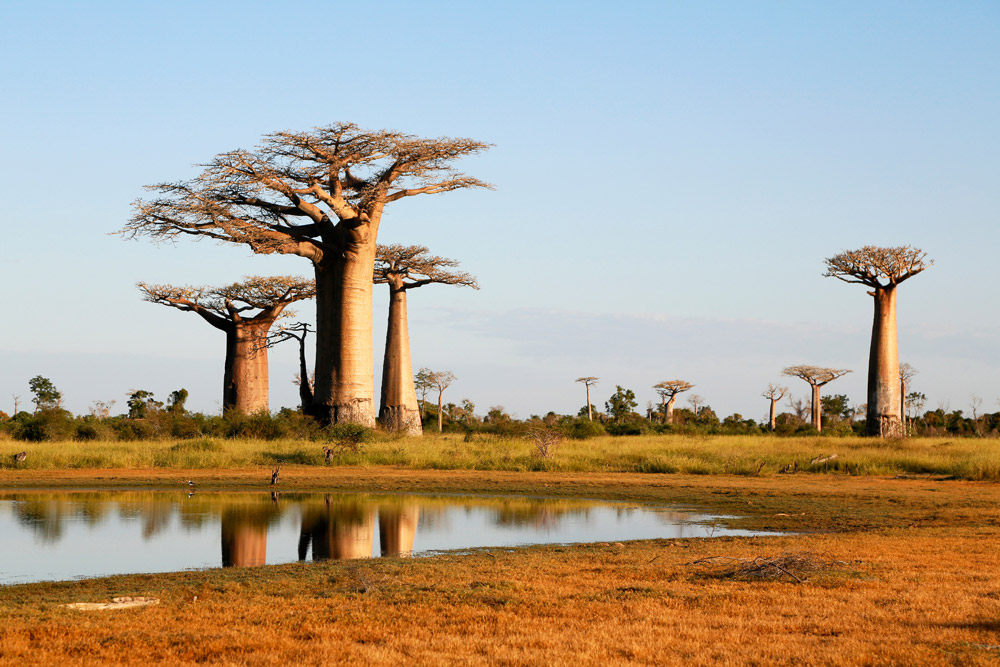 Rondreis Madagaskar: het gebied rond de Baobablaan, Madagascar, Madagaskar