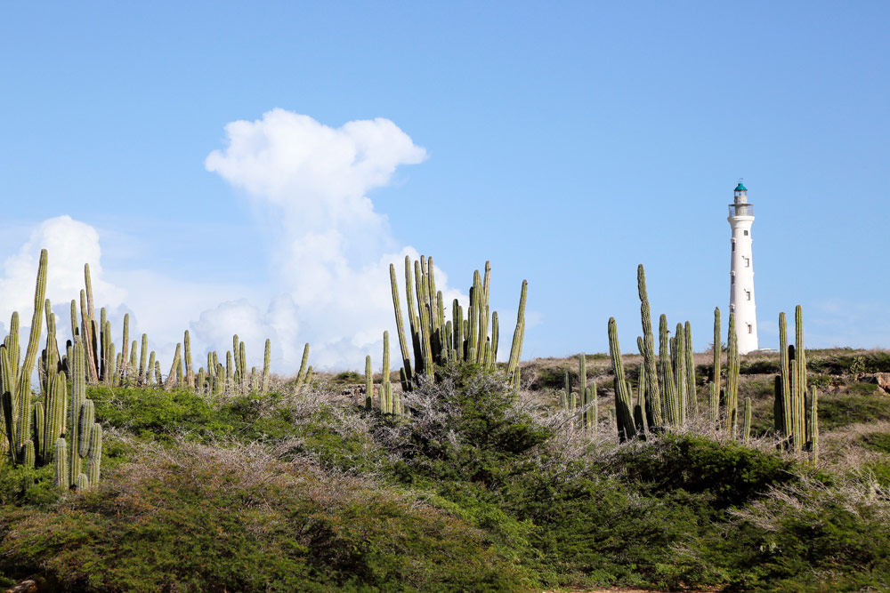 Vakantie Aruba: Ongerepte natuur bij vuurtoren California