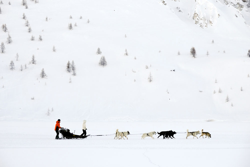 Met husky's over het meer van Tignes le Lac, Wintersport Tignes - Val d'Isere, Frankrijk, skigebied