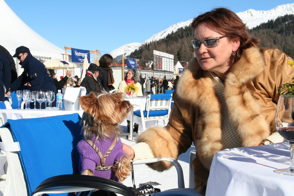 Hond en baas in St Moritz, Zwitserland, wintersport St. Moritz, Zwitserland