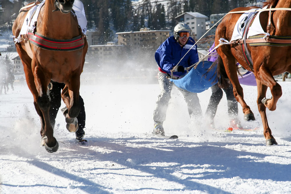 Een bijzonder onderdeel is skijoring waarbij jockeys op ski's achter de paarden hangen, wintersport St. Moritz, Zwitserland