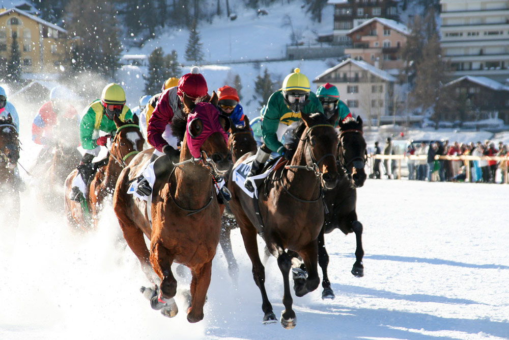 Dankzij speciale hoefijzers blijven de paarden op de been, White Turf, wintersport St. Moritz, Zwitserland
