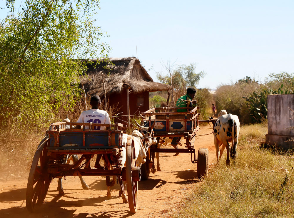 Rondreizen in Madagascar is nooit saai, rondreis, vakantie