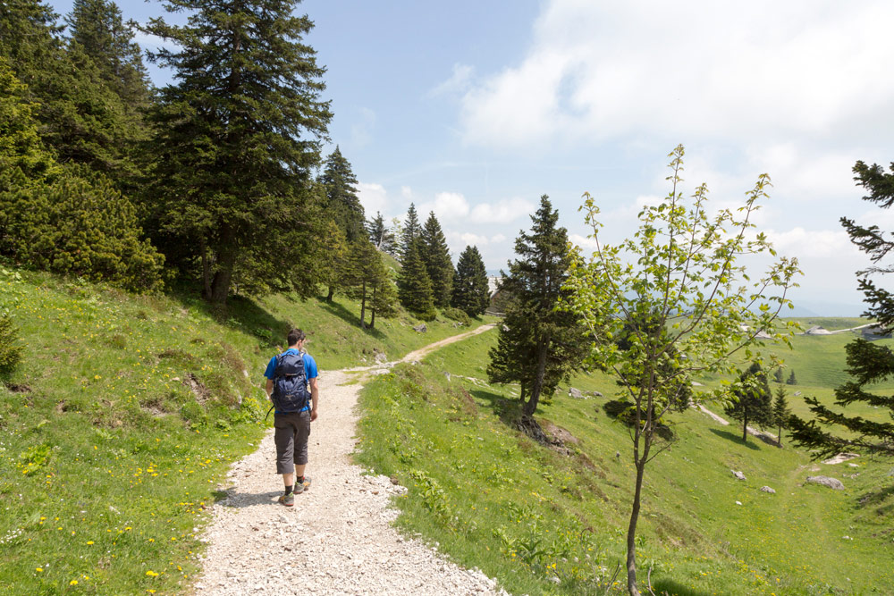 Rustig wandelen op het plateau Velika planina in Slovenie, Wandelen op het plateau Velika planina nabij de stad Kamnik in Slovenie