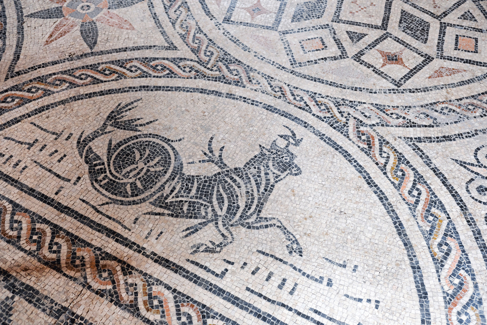 Mozaiek in het archeologische museum in Lucera - Puglia, Apulie, Monti Dauni, Italie, vakantie, rondreis, bezienswaardigheden