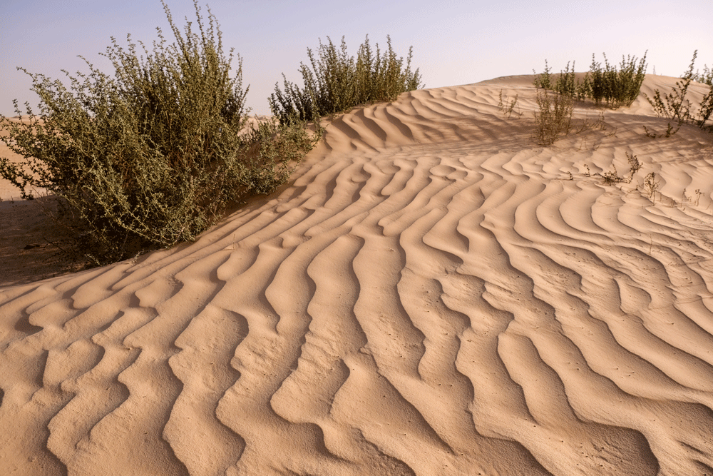 De wind maakt een prachtig patroon in het Sahara zand bij Douz - Vakantie Djerba, Tunesie, rondreis, strandvakantie
