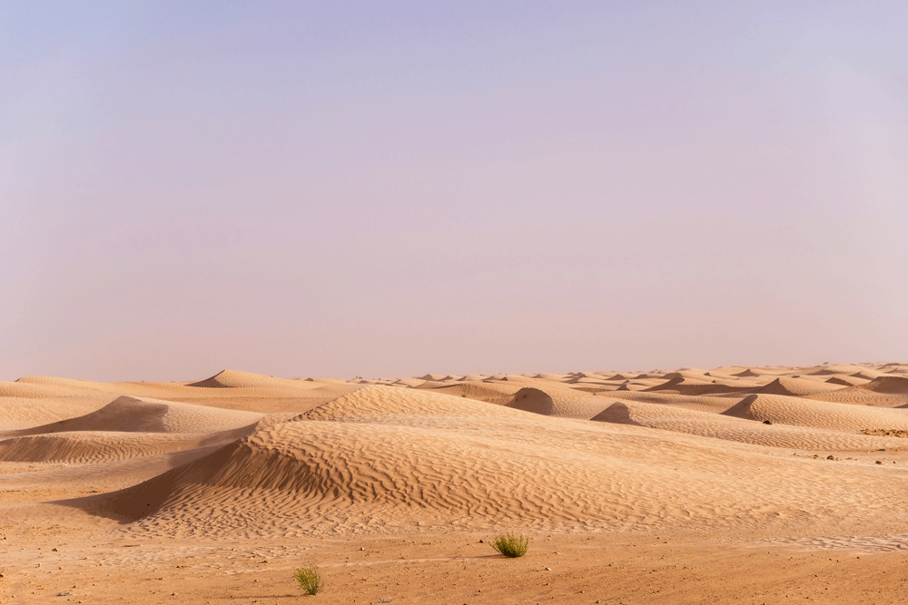 Een zee van golvend zand in Douz - Vakantie Djerba, Tunesie, rondreis, strandvakantie