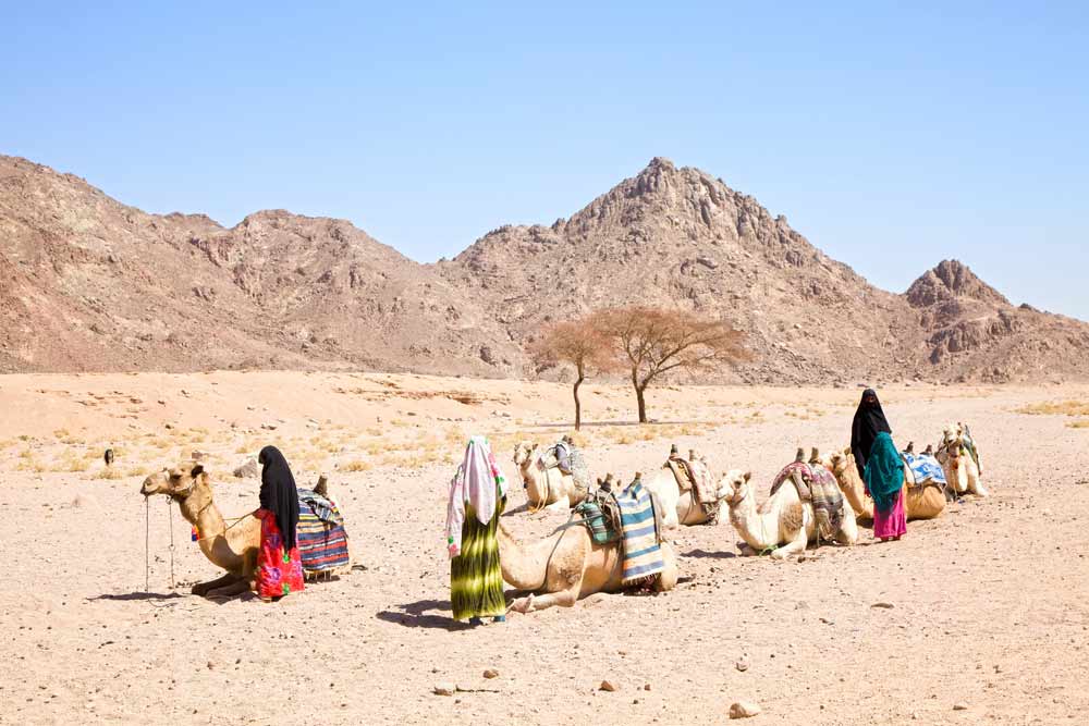 Wie wil kan een kort ritje in de woestijn op een kameel maken Vakantie Egypte, bezienswaardigheden rondom Hurghada, visum Egypte aanvragen