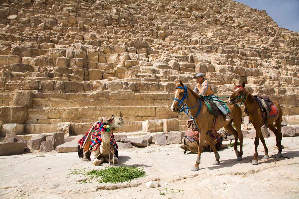 Wie wil kan de piramides van Gizeh ook in Vakantie Egypte, bezienswaardigheden rondom Hurghada, visum Egypte aanvragen