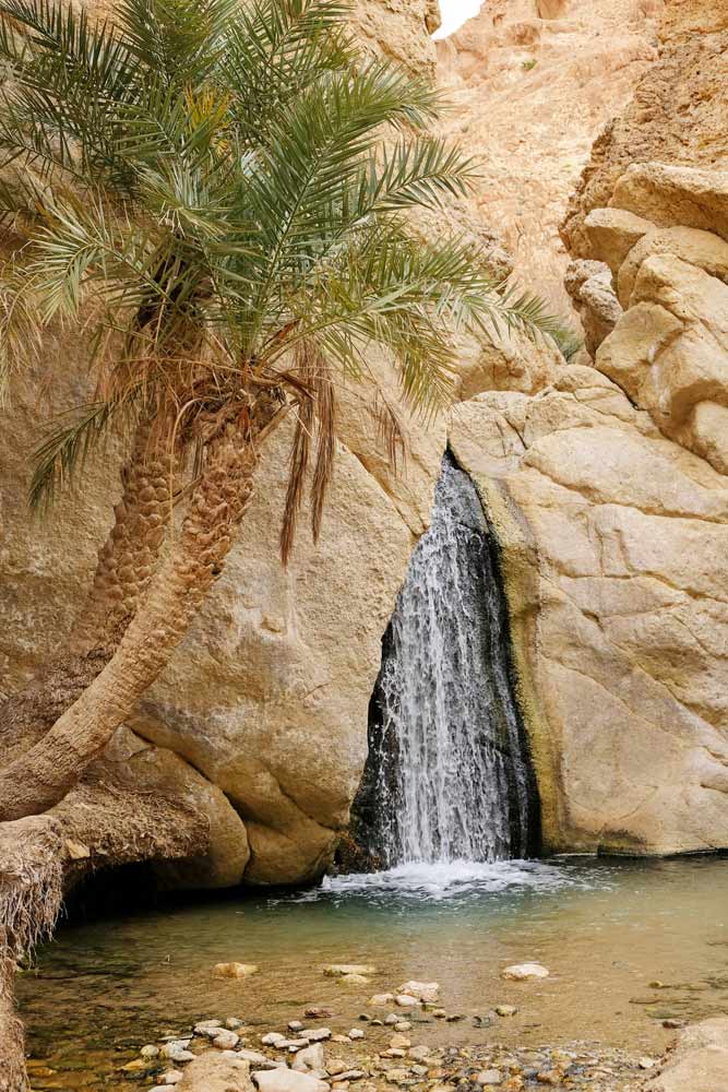 Ook in de oase Chebika zie ik een kleine waterval - vakantie Tunesie: rondreis langs bezienswaardigheden en hotspots in het binnenland